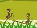 Gra Baboon Duel