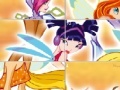 Gra WinX Sliding Puzzle