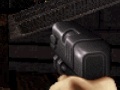 Gra Duke Nukem: FPS