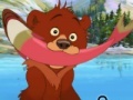 Gra Brother Bear Spot the Difference