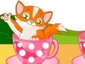 Gra Cat in Cup