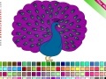 Gra Peacock Coloring