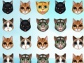 Gra Kitty Matching 