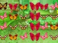 Gra Butterfly Match