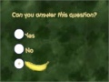 Gra Monkey Quiz