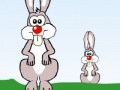 Gra Rabbit Hunter