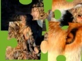Gra Jigsaws:Wild Animals 2