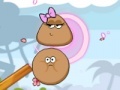 Gra Perfec Pou couple
