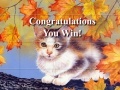 Gra Art Kittens Puzzles 2