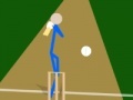 Gra Stick Cricket