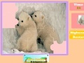 Gra Twin Polar Bear