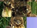 Gra Owls slide puzzle