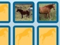 Gra Memory with horses