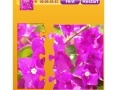 Gra Bougainvillea Jigsaw