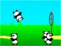 Gra Panda Bounce