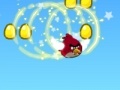 Gra Angry birds: Rock bird