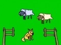 Gra Sheep!