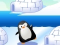 Gra Find Penguin