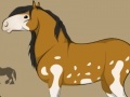 Gra Create Horse
