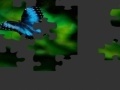 Gra Butterfly Puzzle