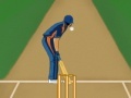 Gra Super Cricket