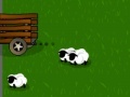 Gra Sheep herding
