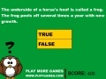 Gra Useless Animal Facts