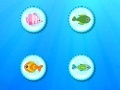 Gra Color Fish Quest
