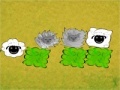 Gra Run sheep, run!
