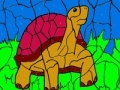 Gra Turtle and ball coloring