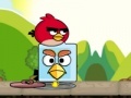 Gra Angry birds. Find your partner