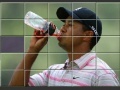 Gra Tiger Woods