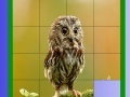 Gra Little Owl Slide Puzzle