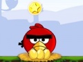Gra Angry birds: circus troupe