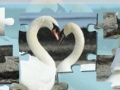 Gra Valentine Swans