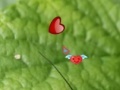Gra Hidden Nature Hearts