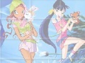 Gra Winx fairies