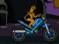 Gra Scooby Stars Race