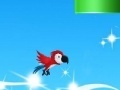 Gra Social parrot