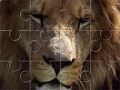 Gra Animals Jigsaw: Lion
