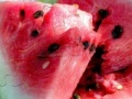 Gra Watermelon