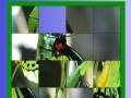 Gra Green butterfly slide puzzle