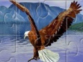 Gra Eagle