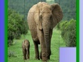 Gra Mother and tiny elephant slide puzzle