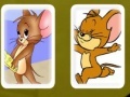 Gra Tom and Jerry Cards Match