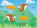 Gra Squirrels