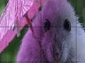 Gra Umbrella and mouse slide puzzle