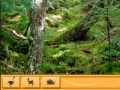 Gra Jungle 2: Hidden objects