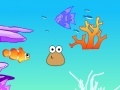 Gra Pou Ocean Decorating