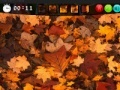Gra Autumn Hidden Images